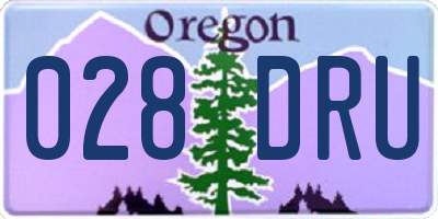 OR license plate 028DRU