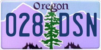 OR license plate 028DSN