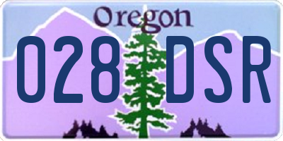 OR license plate 028DSR