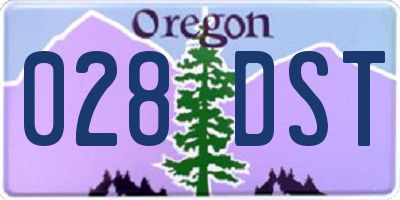 OR license plate 028DST