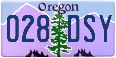 OR license plate 028DSY
