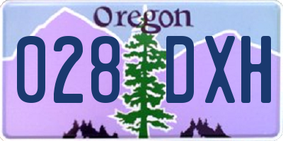 OR license plate 028DXH