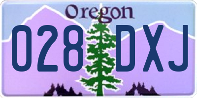 OR license plate 028DXJ
