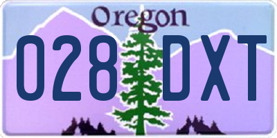 OR license plate 028DXT