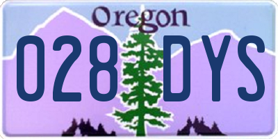 OR license plate 028DYS