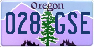 OR license plate 028GSE