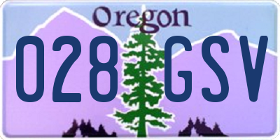 OR license plate 028GSV