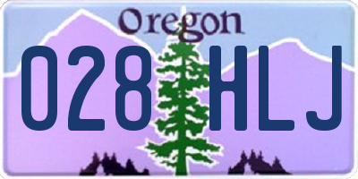 OR license plate 028HLJ