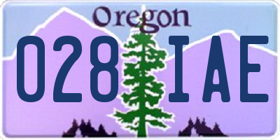 OR license plate 028IAE