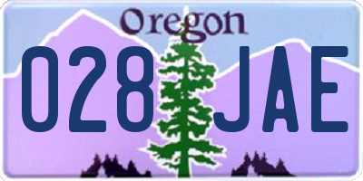 OR license plate 028JAE