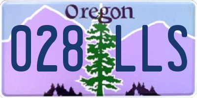 OR license plate 028LLS