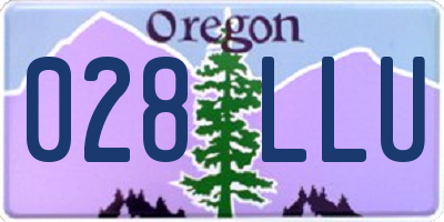 OR license plate 028LLU