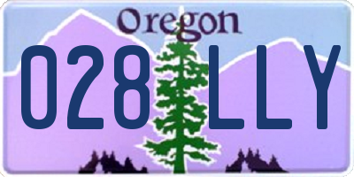 OR license plate 028LLY