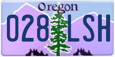 OR license plate 028LSH