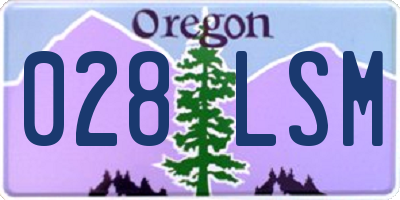 OR license plate 028LSM
