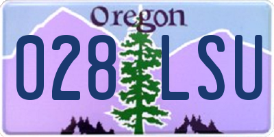 OR license plate 028LSU