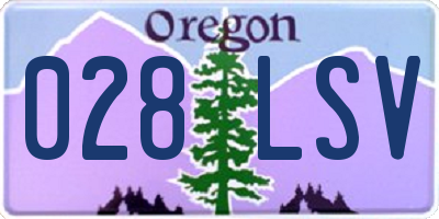 OR license plate 028LSV