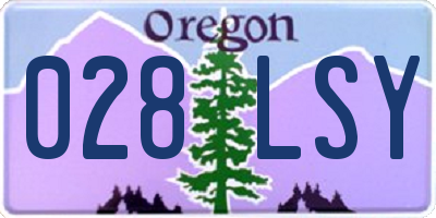 OR license plate 028LSY