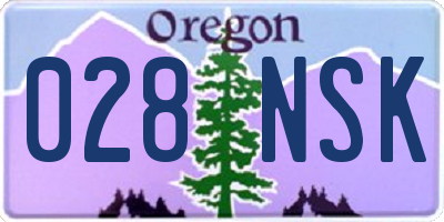 OR license plate 028NSK