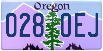 OR license plate 028OEJ
