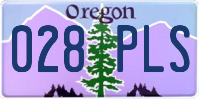 OR license plate 028PLS