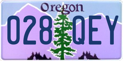 OR license plate 028QEY