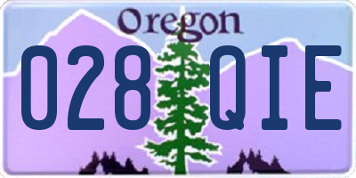 OR license plate 028QIE