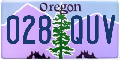 OR license plate 028QUV