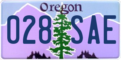 OR license plate 028SAE