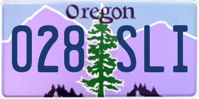 OR license plate 028SLI