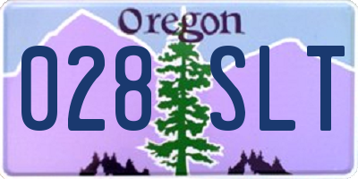 OR license plate 028SLT