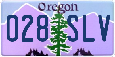OR license plate 028SLV