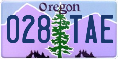 OR license plate 028TAE