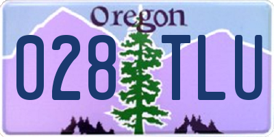 OR license plate 028TLU
