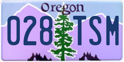 OR license plate 028TSM