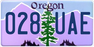 OR license plate 028UAE