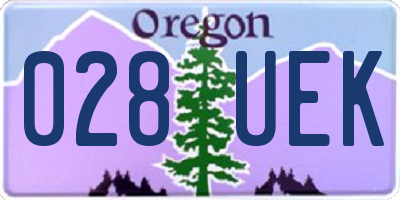 OR license plate 028UEK
