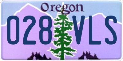 OR license plate 028VLS