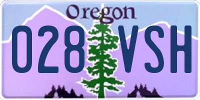 OR license plate 028VSH