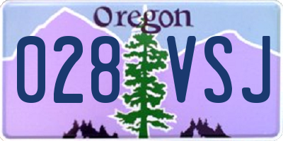OR license plate 028VSJ