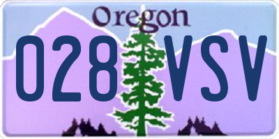 OR license plate 028VSV