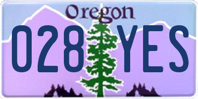 OR license plate 028YES