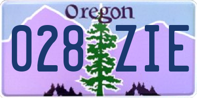 OR license plate 028ZIE