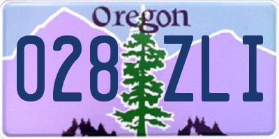 OR license plate 028ZLI