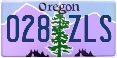 OR license plate 028ZLS