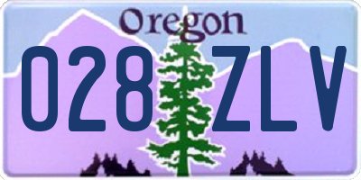 OR license plate 028ZLV