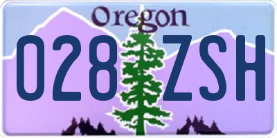 OR license plate 028ZSH