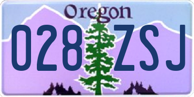OR license plate 028ZSJ