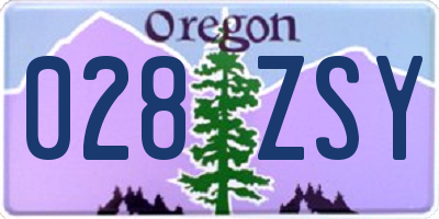 OR license plate 028ZSY