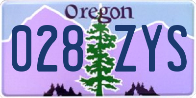 OR license plate 028ZYS